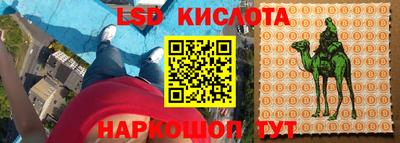 индика Вязники
