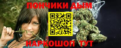 индика Вязники
