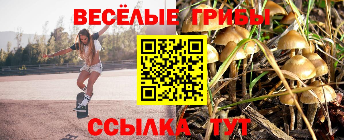 Галлюциногенные грибы Magic Shrooms Вязьма